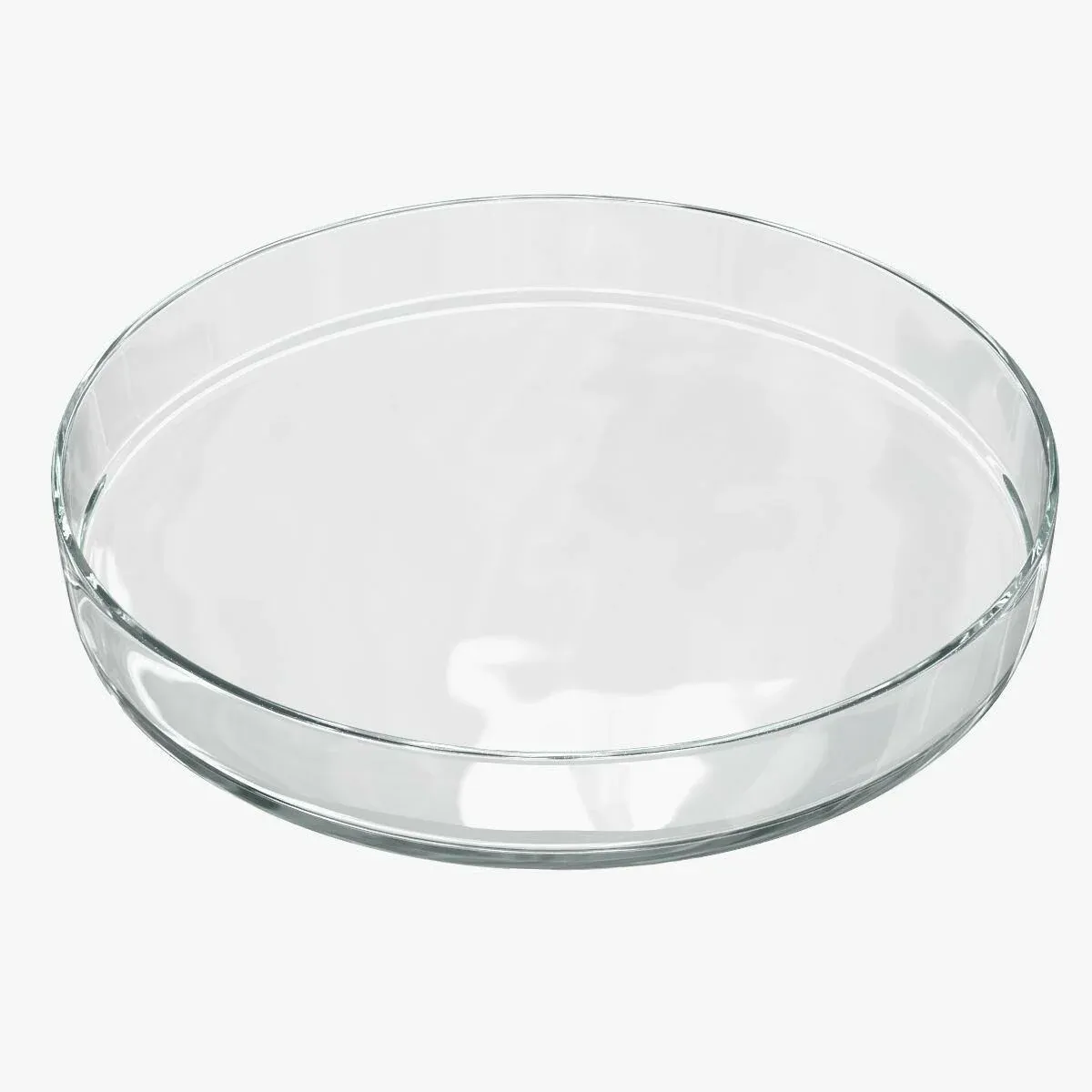 Petri Kabı (Ø 100 mm. Cam)