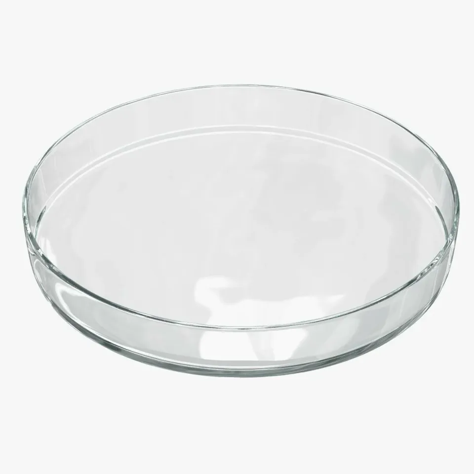 Petri Kabı (Ø 100 mm. Cam)