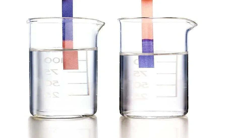 Turnusol Kağıdı (Kırmızı)