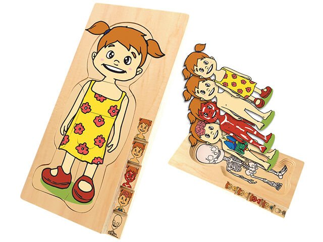 Hi Q Toys Vücudumuzun Katmanları