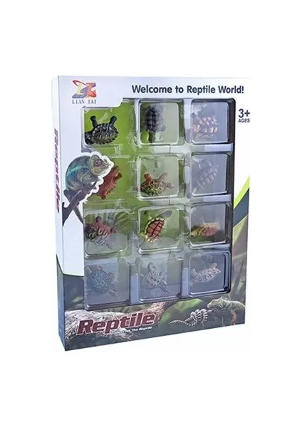 Hi-Q Toys Kaplumbağalar ( Tortoıse )