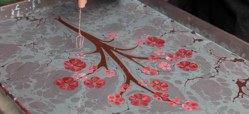 Karin Çiçek Bizi İnce