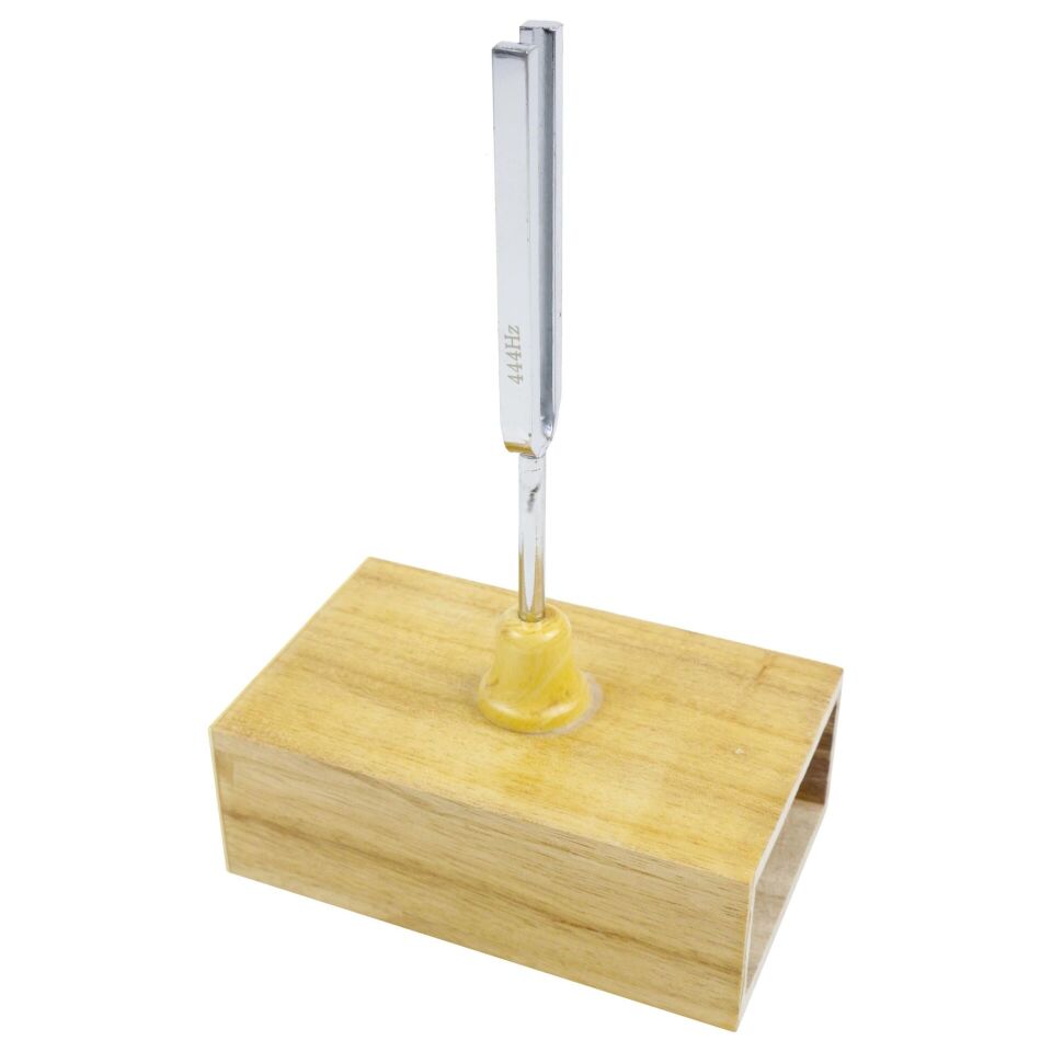 Diyapozon (Tokmağı İle, 444 Hz.)