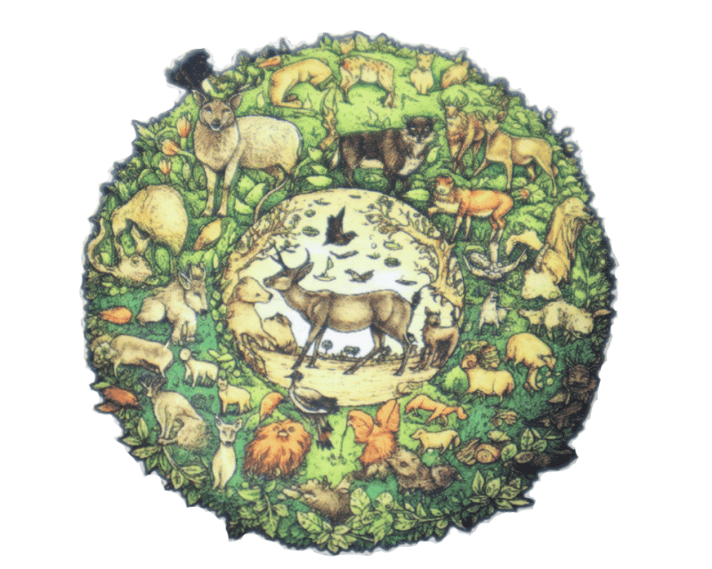 Redka Wooden Jigsaw Animals (Ahşap Puzzle)