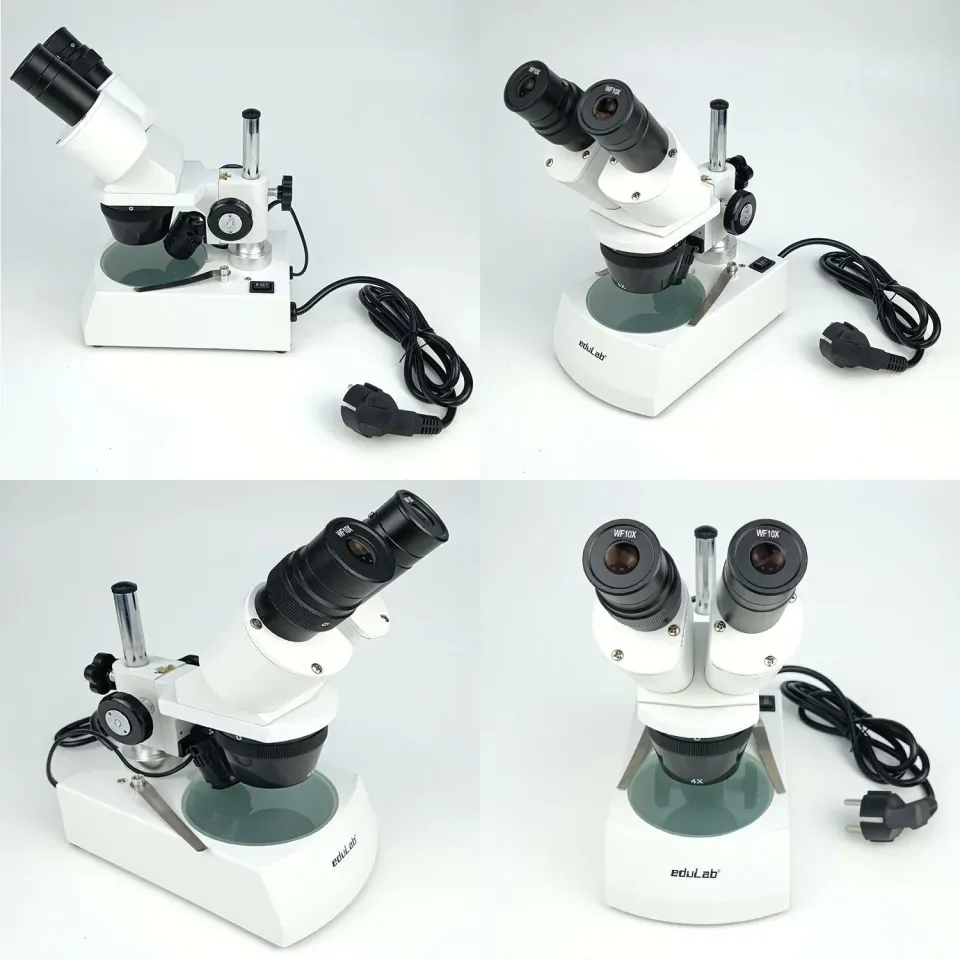 Mikroskop Stereo