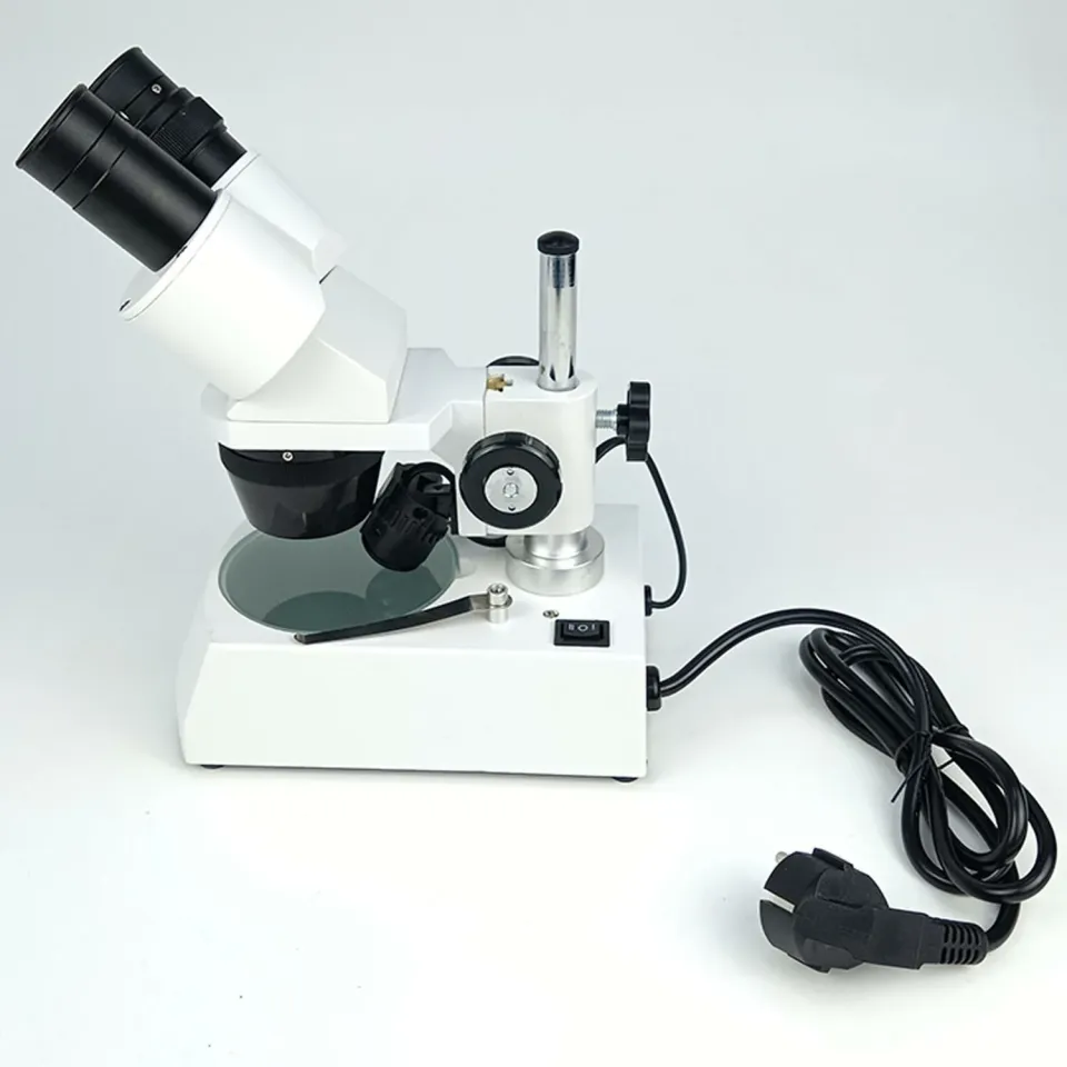 Mikroskop Stereo