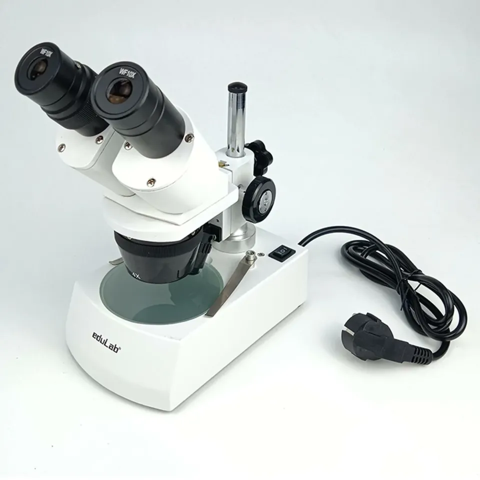 Mikroskop Stereo