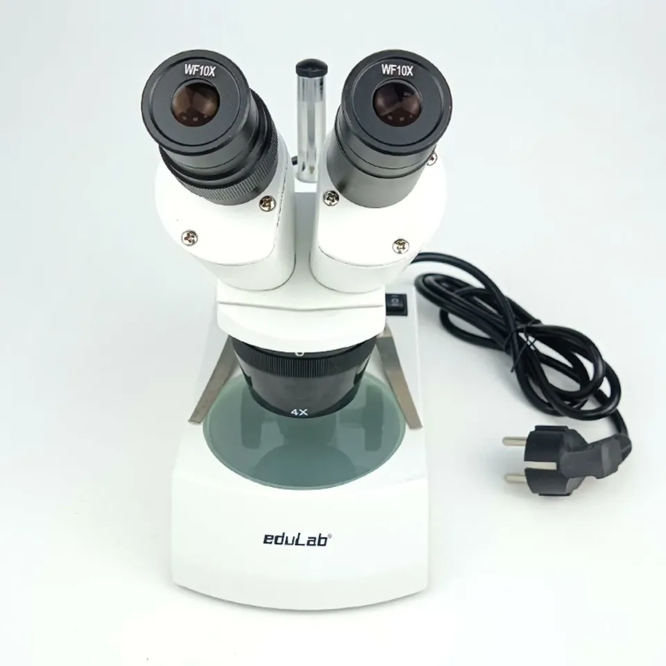 Mikroskop Stereo