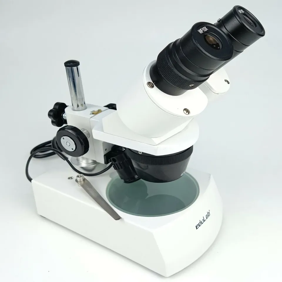 Mikroskop Stereo